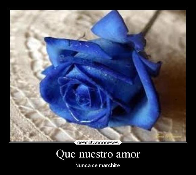 Que nuestro amor - 