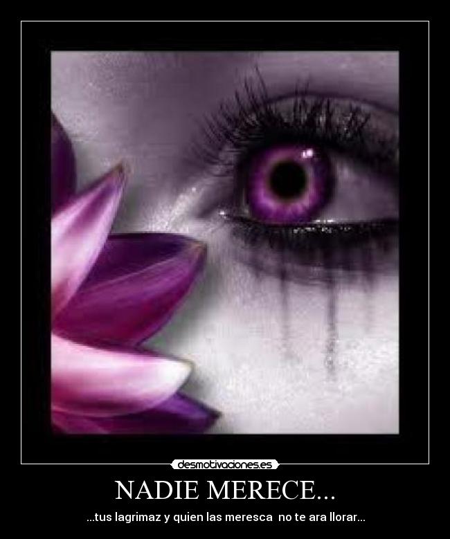 NADIE MERECE... -