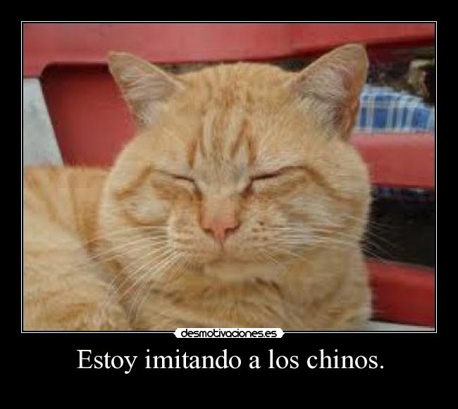 Estoy imitando a los chinos. - 