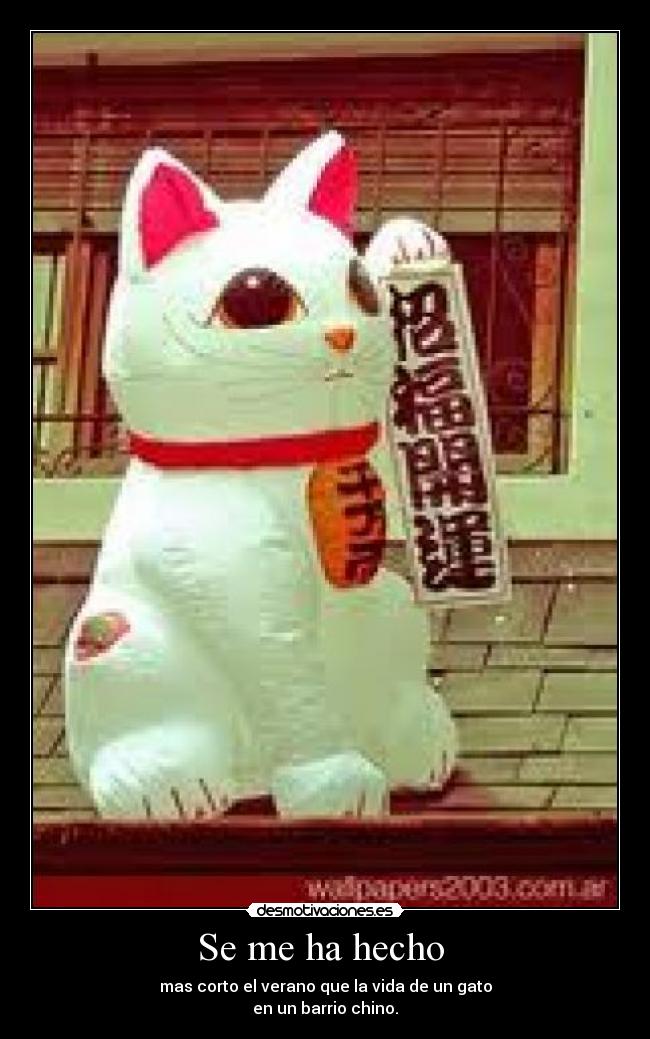 Se me ha hecho - mas corto el verano que la vida de un gato
en un barrio chino.