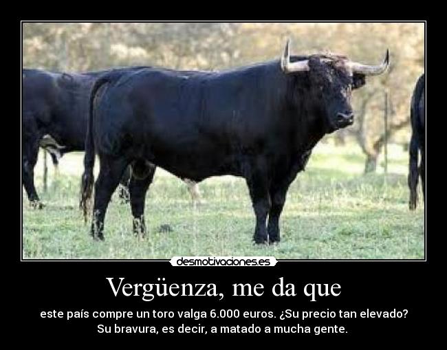 Vergüenza, me da que - este país compre un toro valga 6.000 euros. ¿Su precio tan elevado?
Su bravura, es decir, a matado a mucha gente. 