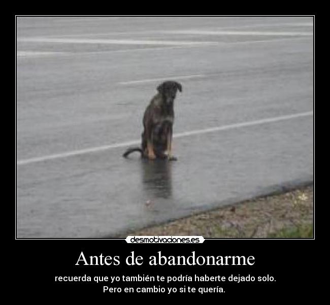 Antes de abandonarme - 