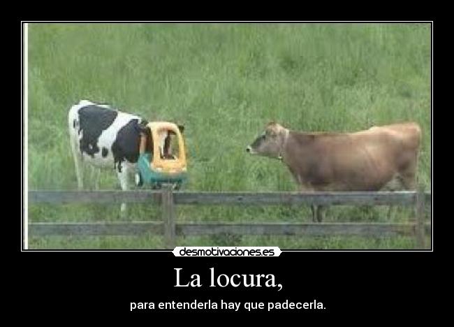 La locura, -