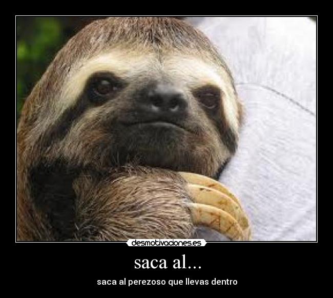 saca al... -