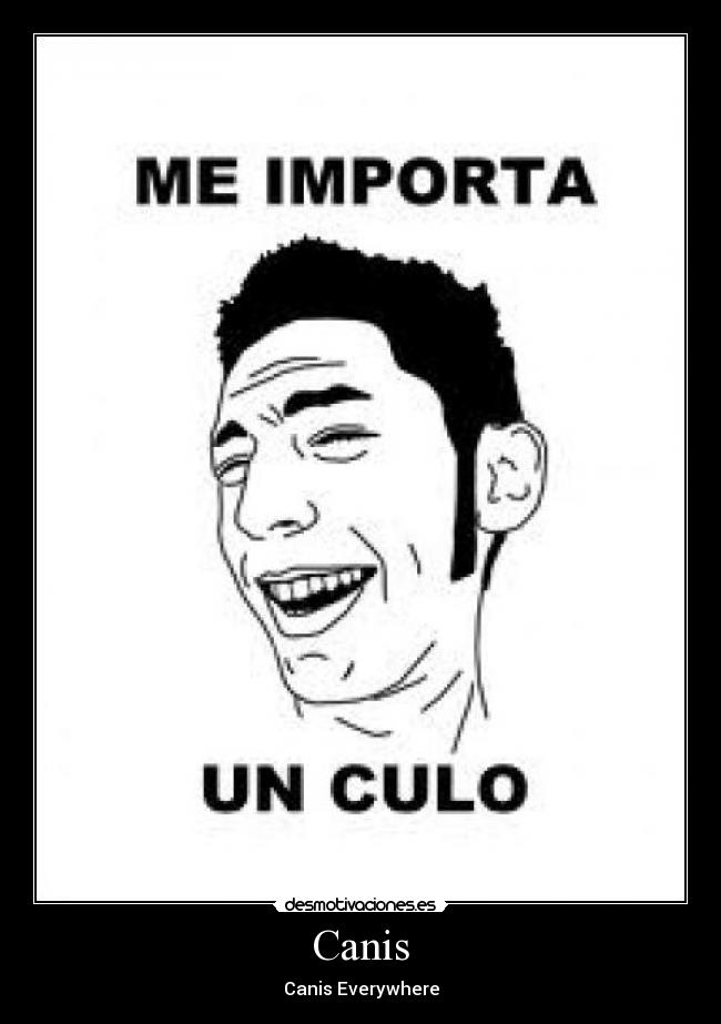 Canis - Canis Everywhere