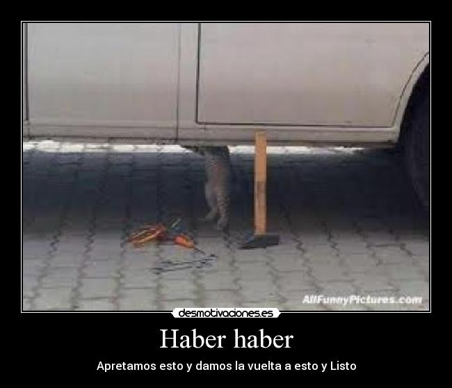 Haber haber -