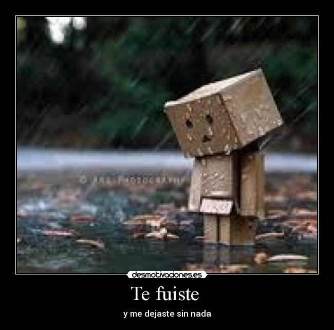 Te fuiste  - 
