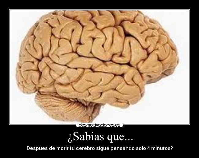 ¿Sabias que... - 