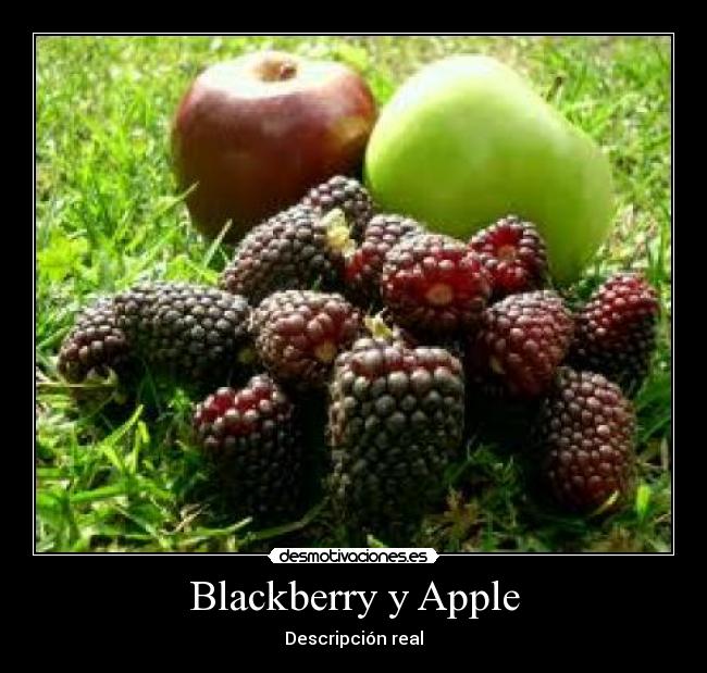 Blackberry y Apple - 