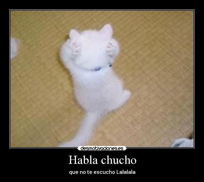 Habla chucho - 