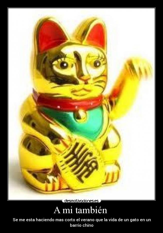 A mi también -