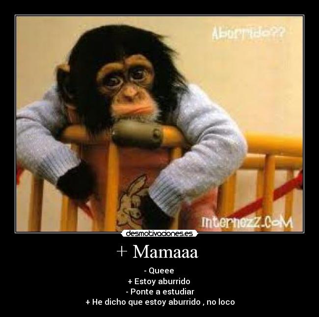 + Mamaaa  - - Queee 
+ Estoy aburrido 
- Ponte a estudiar
+ He dicho que estoy aburrido , no loco