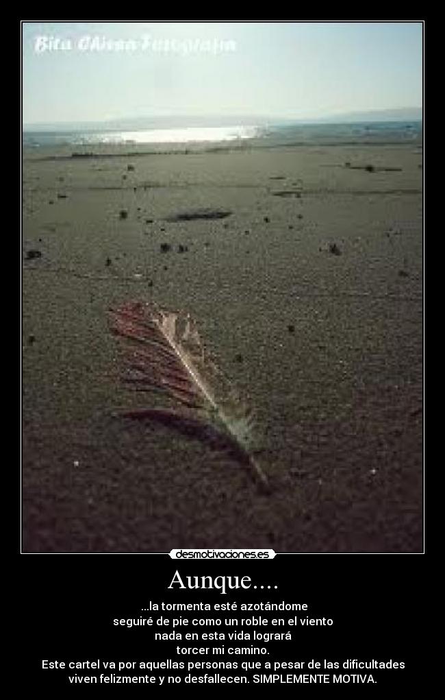 Aunque.... -  ...la tormenta esté azotándome
seguiré de pie como un roble en el viento
nada en esta vida logrará
torcer mi camino.
Este cartel va por aquellas personas que a pesar de las dificultades
viven felizmente y no desfallecen. SIMPLEMENTE MOTIVA.