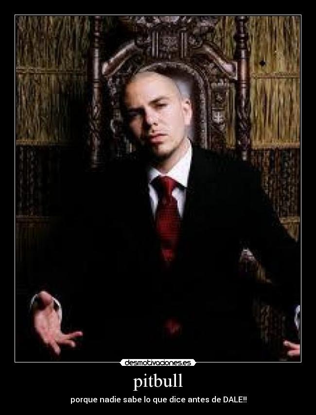 pitbull - porque nadie sabe lo que dice antes de DALE!!