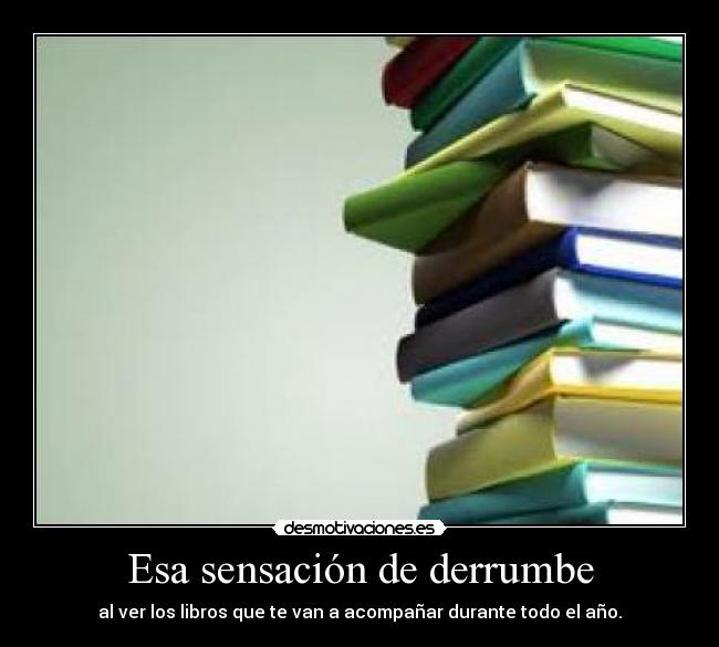 Esa sensación de derrumbe - al ver los libros que te van a acompañar durante todo el año.