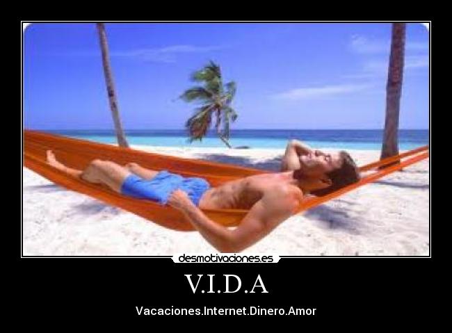 V.I.D.A -