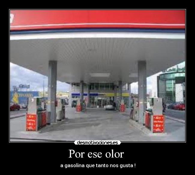 Por ese olor  - 