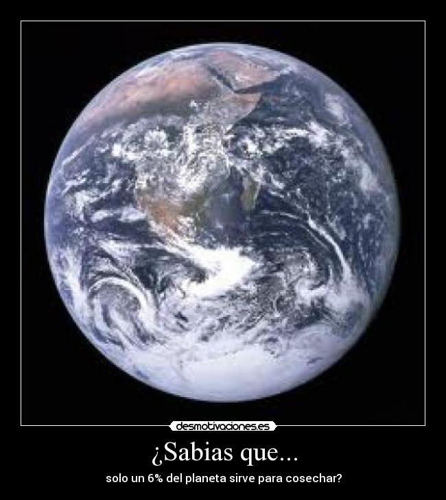 ¿Sabias que... -