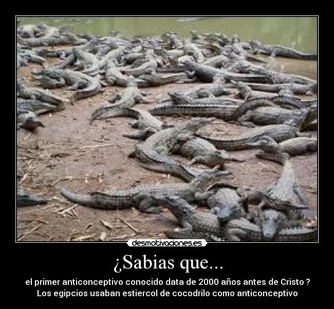 ¿Sabias que... - 