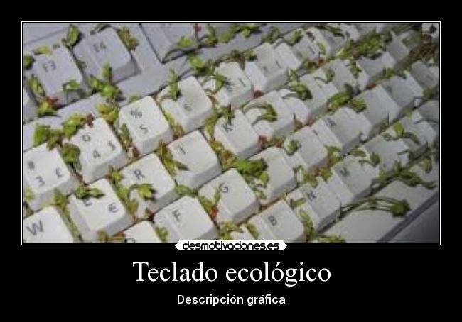 Teclado ecológico - 