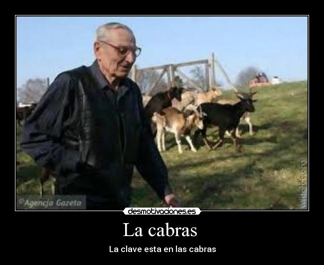La cabras  - La clave esta en las cabras