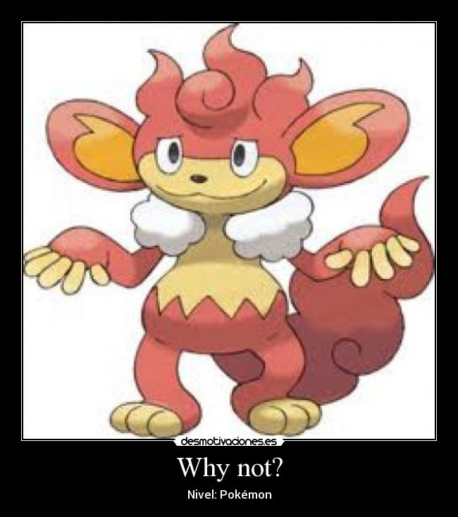 Why not? - Nivel: Pokémon