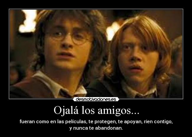 carteles amigos harry ron amigos inseparables desmotivaciones