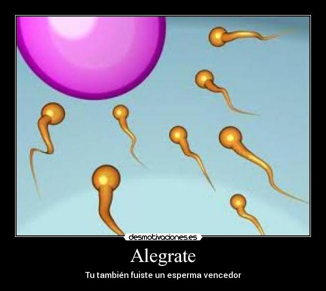 Alegrate -