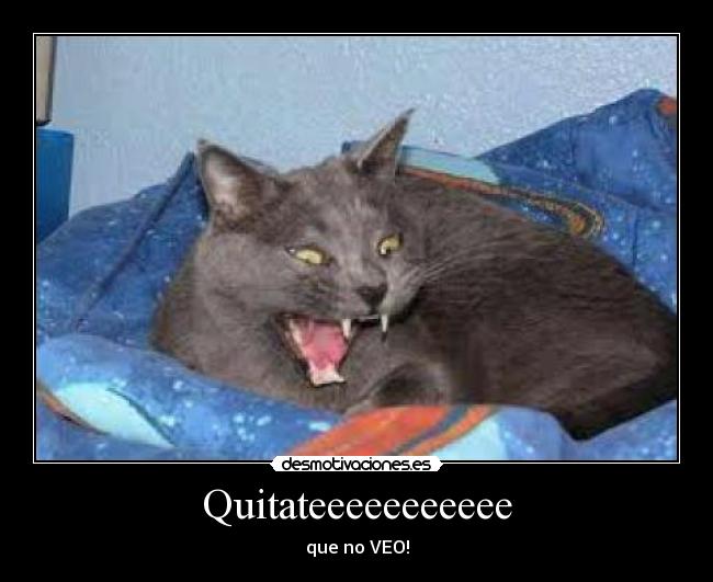 Quitateeeeeeeeeee -