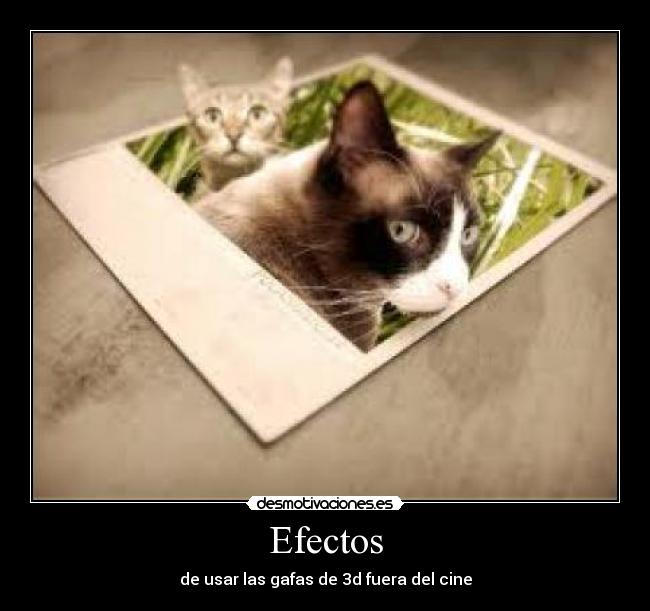 Efectos - de usar las gafas de 3d fuera del cine