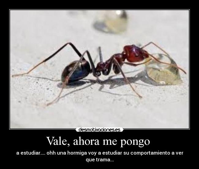 Vale, ahora me pongo -