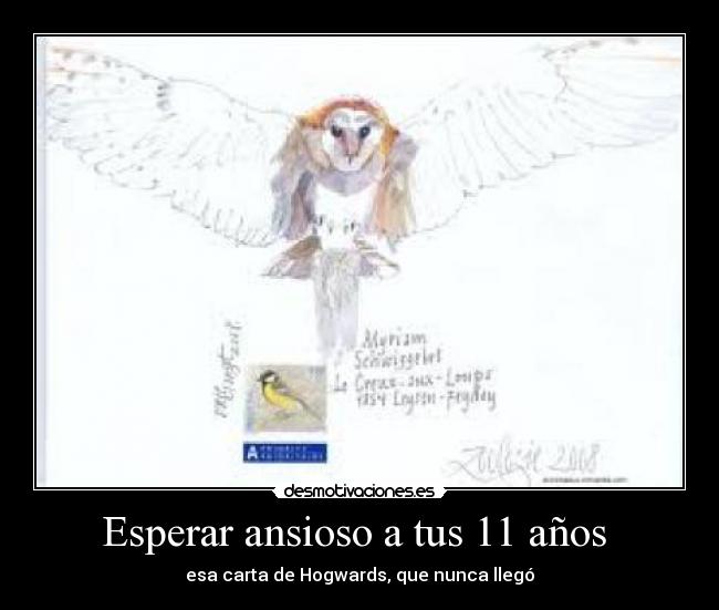 Esperar ansioso a tus 11 años -