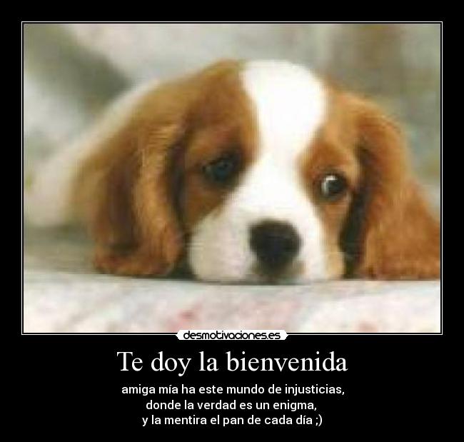 Te doy la bienvenida - amiga mía ha este mundo de injusticias,
donde la verdad es un enigma,
y la mentira el pan de cada día ;)