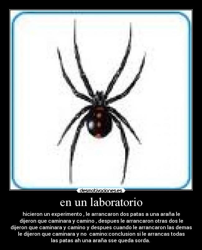 en un laboratorio - hicieron un experimento , le arrancaron dos patas a una araña le
dijeron que caminara y camino , despues le arrancaron otras dos le
dijeron que caminara y camino y despues cuando le arrancaron las demas
le dijeron que caminara y no camino:conclusion si le arrancas todas
las patas ah una araña sse queda sorda.