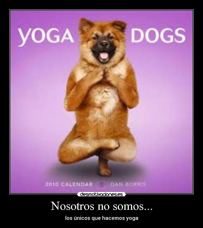 Nosotros no somos... -