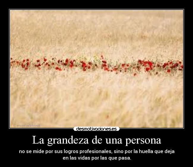 carteles huella desmotivaciones