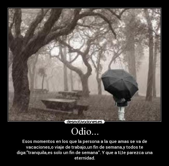 Odio... - 