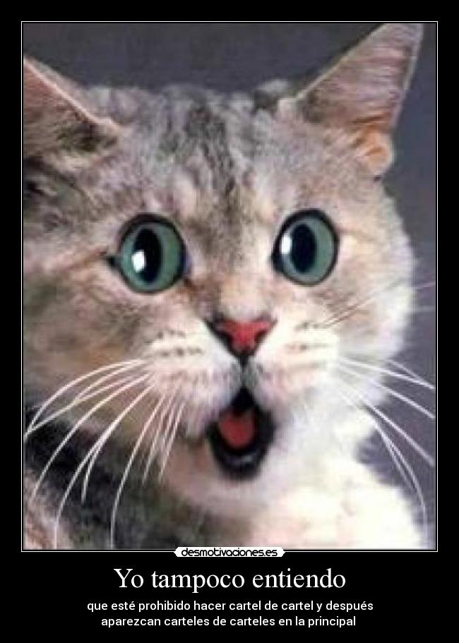 carteles cierto  desmotivaciones