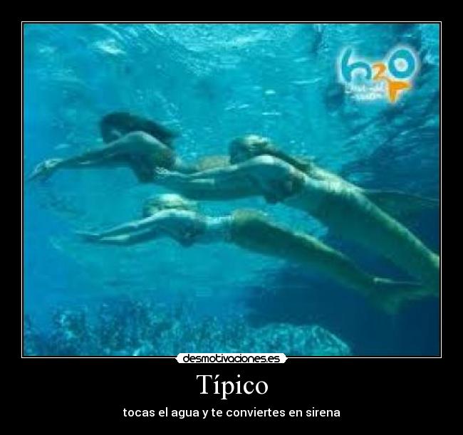 Típico - tocas el agua y te conviertes en sirena