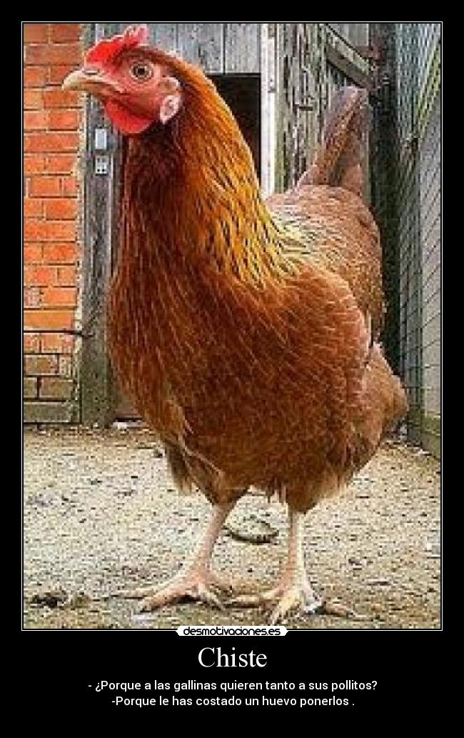 Chiste -