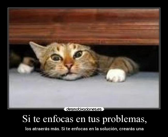 Si te enfocas en tus problemas, - los atraerás más. Si te enfocas en la solución, crearás una