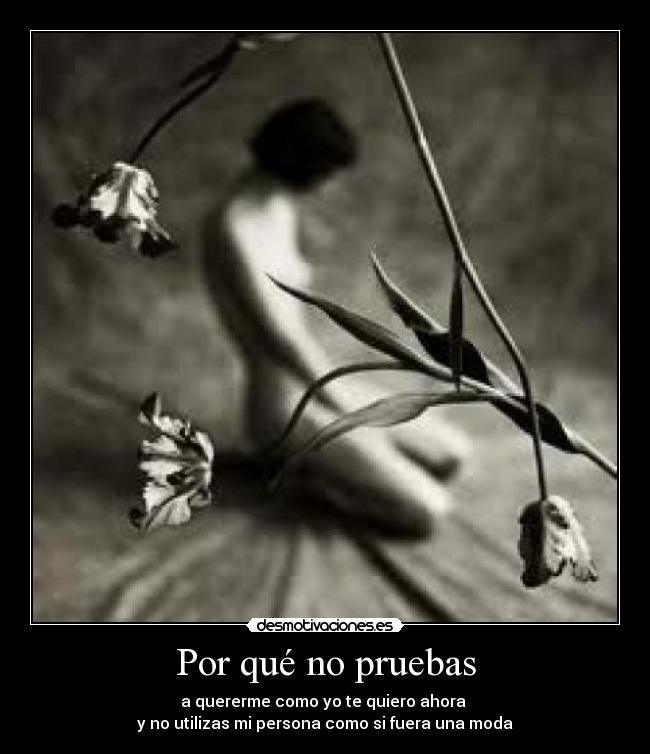 carteles porque desmotivaciones