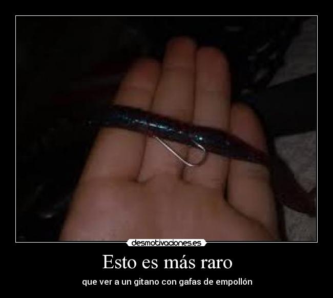 Esto es más raro - que ver a un gitano con gafas de empollón