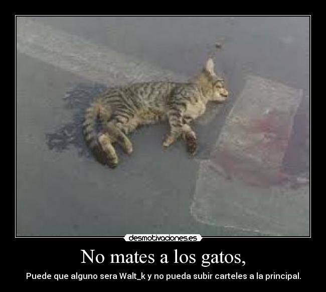 No mates a los gatos, - 