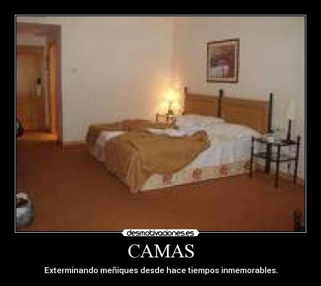 CAMAS -