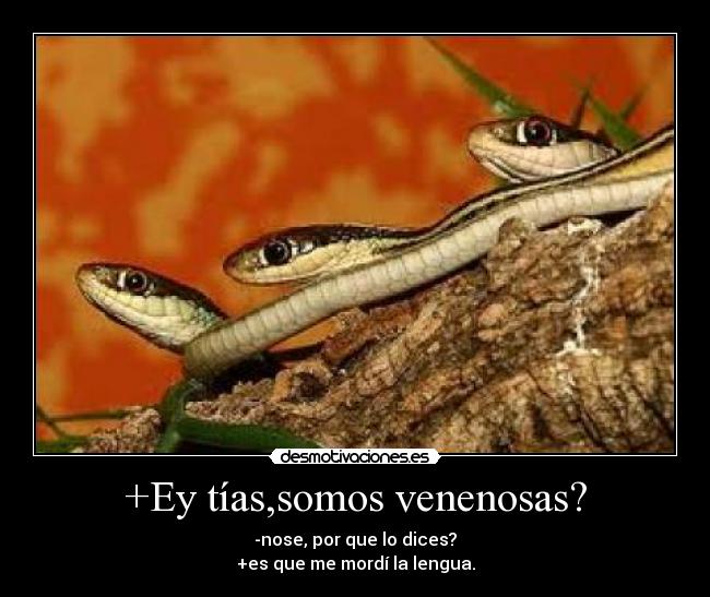 +Ey tías,somos venenosas? - -nose, por que lo dices?
+es que me mordí la lengua.