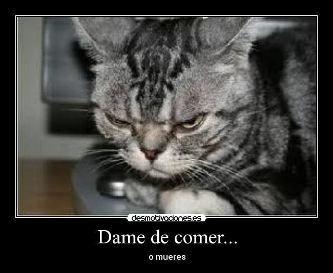 Dame de comer... -