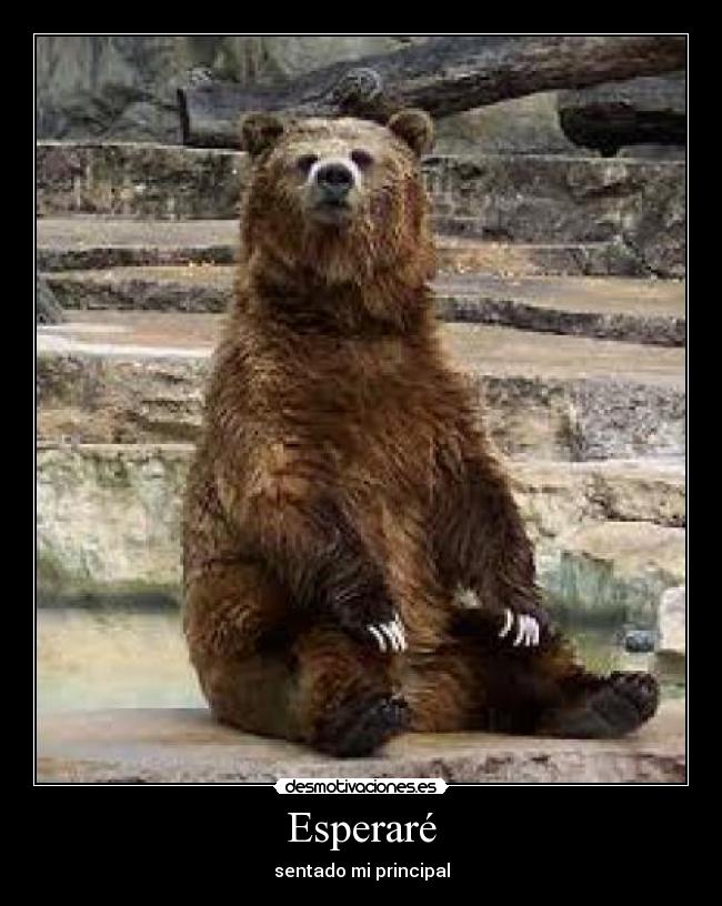 Esperaré - 