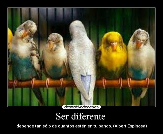 Ser diferente  - 