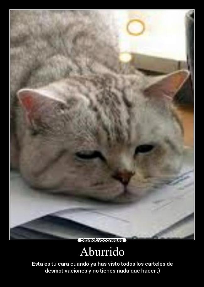 Aburrido - Esta es tu cara cuando ya has visto todos los carteles de
desmotivaciones y no tienes nada que hacer ;)